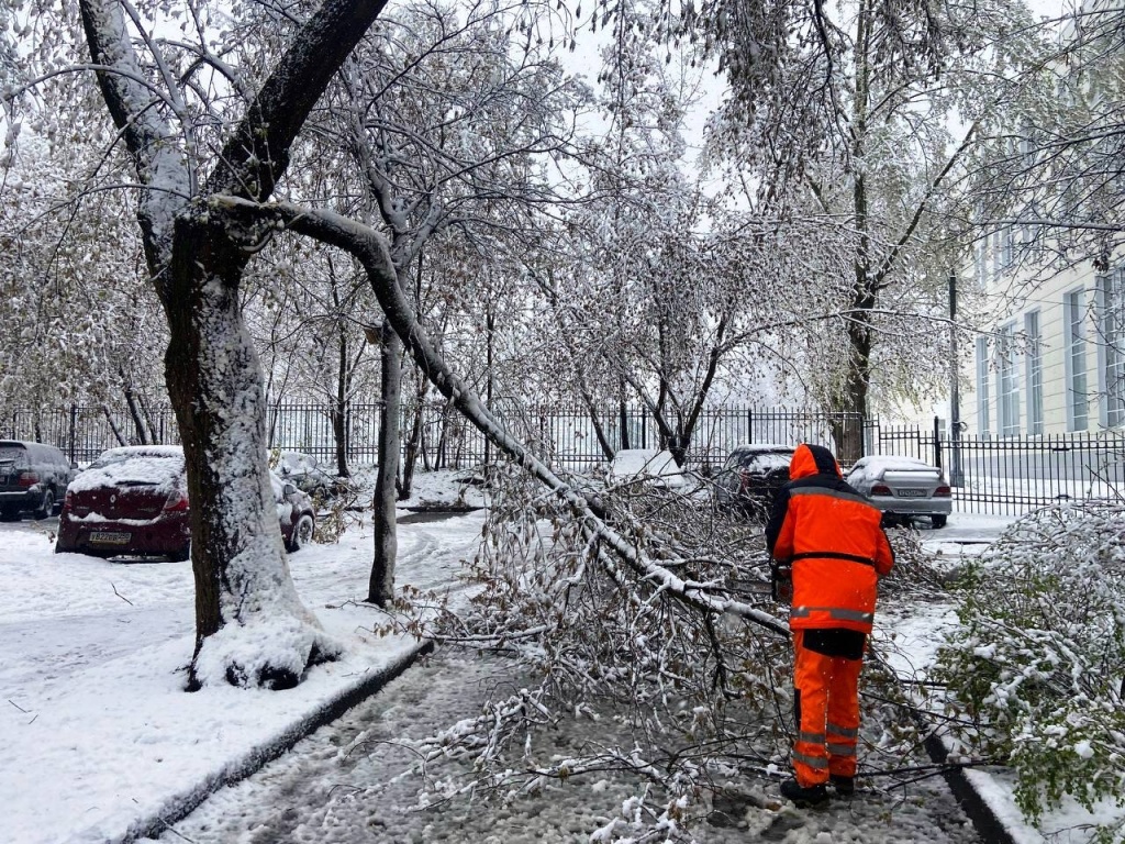 Последствия снегопада в Пушкинском: глава округа призвал ограничить использование личного авто, а коммунальные службы работают в усиленном режиме
