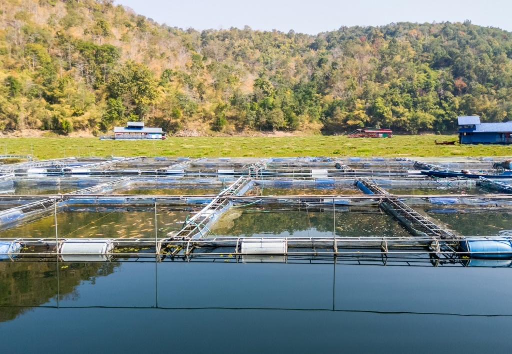 Государственную поддержку аквакультуры в России расширят