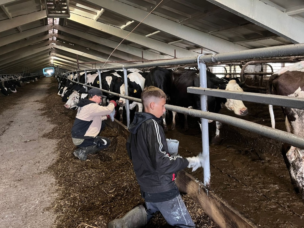 В Мордовии более 3 тысяч подростков трудоустроились в рамках нацпроекта "Кадры"