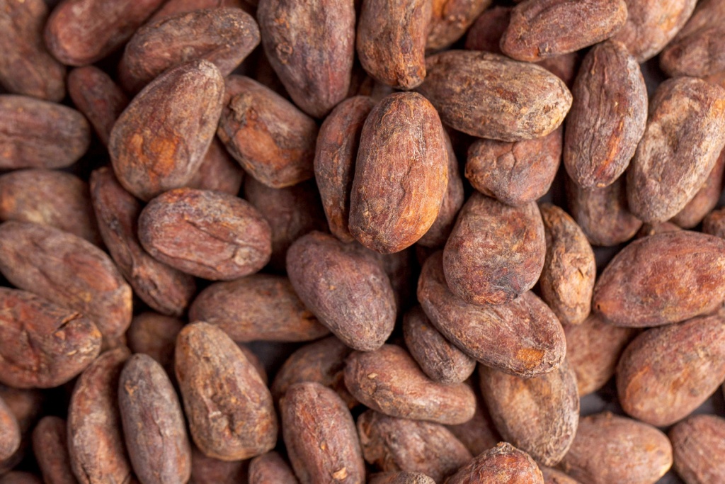 В Ульяновскую область поставили почти 1000 тонн какао-бобов из Кот-д'Ивуара и Эквадора