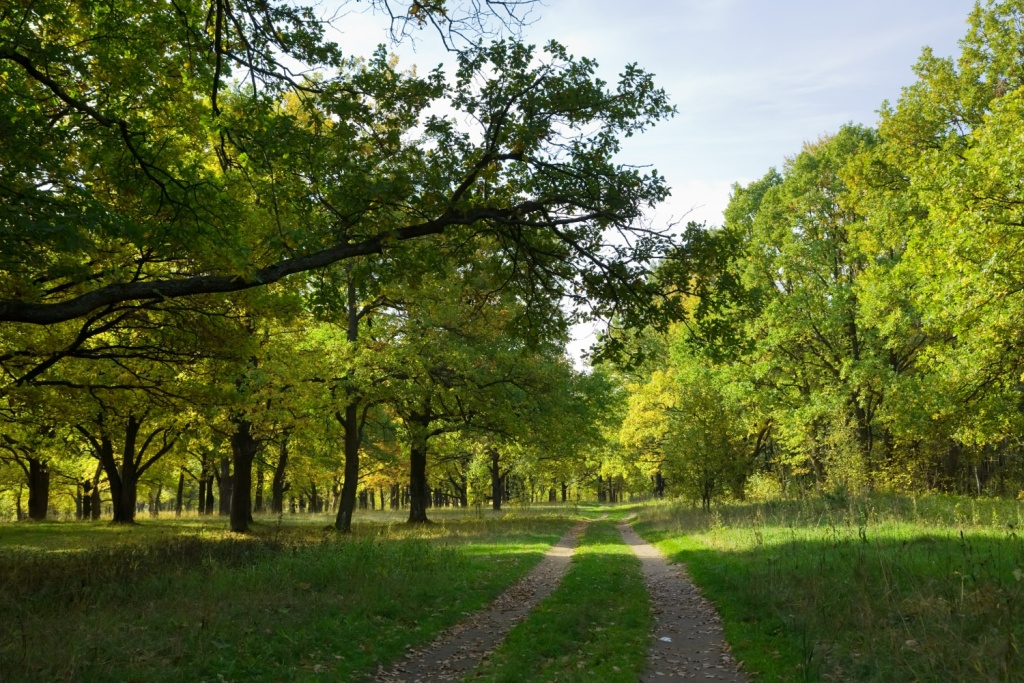 Свердловское Минприроды объединилось с байкерами, чтобы защитить природные парки и заказники