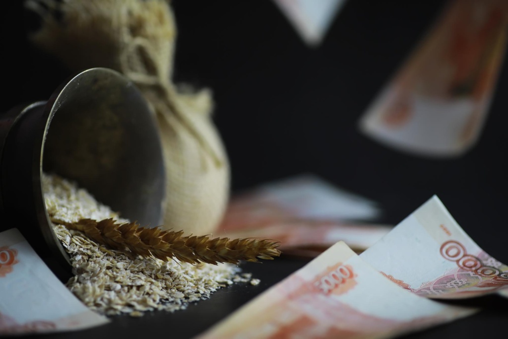 На сельское хозяйство выделят более полутриллиона рублей