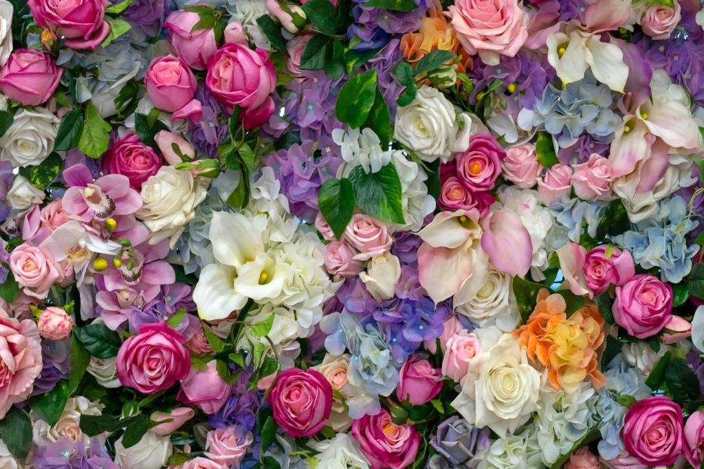 В Госдуме хотят поднять пошлины на цветы из-за границы В Госдуме хотят поднять пошлины на цветы из-за границы