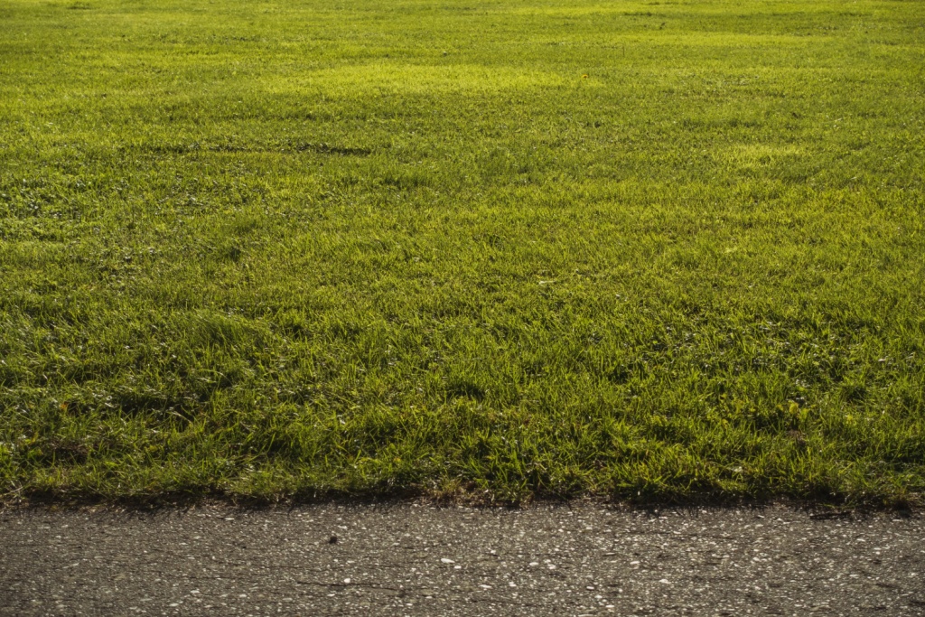 Прокурор внёс первый в 2026 году законопроект в Заксобрание Оренбуржья