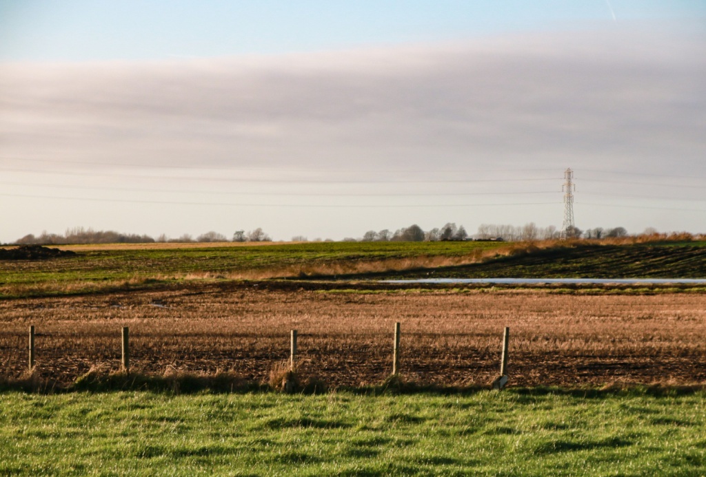 Для Ейского района Кубани разработали план по возвращению промышленных земель в хозяйственный оборот
