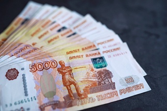 МВД отчиталось о борьбе с налоговыми преступлениями
