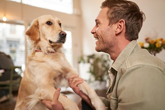 «Додо Пицца» станет pet-friendly и начнёт системно помогать приютам