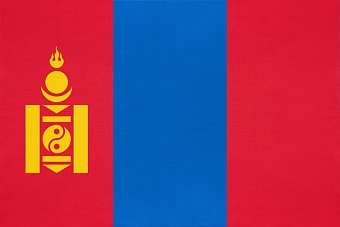 Топливный режим: Монголия вводит временные ограничения и наращивает запасы